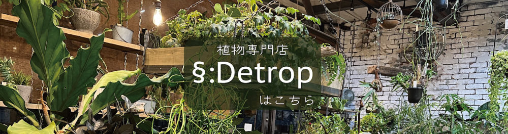 植物専門店Detrop